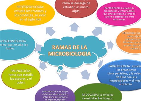 Microbiología ¿qué Es Y Cuáles Son Sus Ramas Eco360