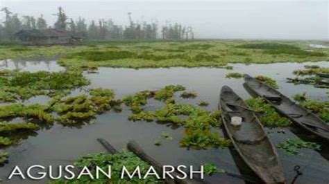 Agusan Marsh -Heritage Cultural Tourism