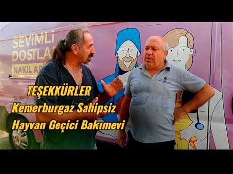 Te Ekk Rler Kemerburgaz Sahipsiz Hayvan Ge Ici Bak Mevi Youtube