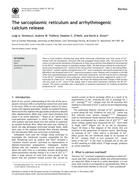 (PDF) The sarcoplasmic reticulum and arrhythmogenic calcium release