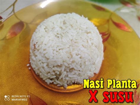 Resepi Nasi Planta Tanpa Susu Mudah Dan Sedap