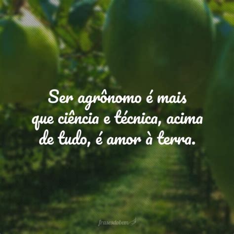 Frases De Agronomia Que Mostram A Import Ncia Dessa Profiss O