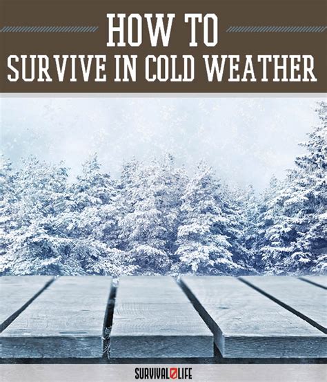 Tips for Surviving in Cold Weather | Survival Life