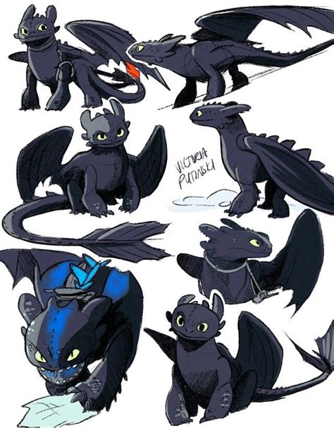 Pin By Ngoc Võ On How To Train Your Dragon How Train Your Dragon Httyd Art How To Train Your