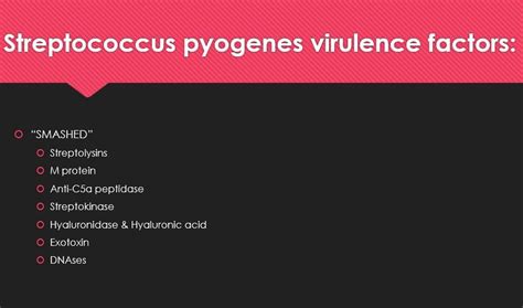 Streptococcus Pyogenes Virulence Factors Streptococcus Pyogenes Acute Disease Streptococcal