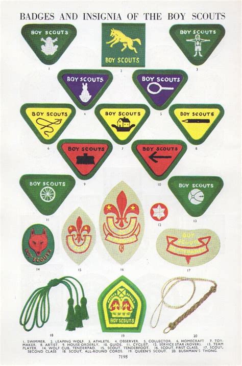 vintage BOY SCOUT Badges Insignia print merit badge boy