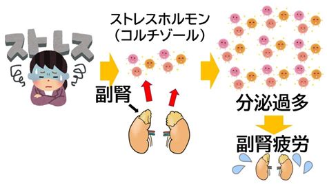 うつとお医者さんも間違える副腎疲労の対処法 腰や首、肩の違和感など、つらい痛みで悩んでいる方、オプティマルヘルスセンターへ