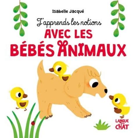 J Apprends Les Notions Avec Les B B S Animaux Collectif Isabelle Jacqu