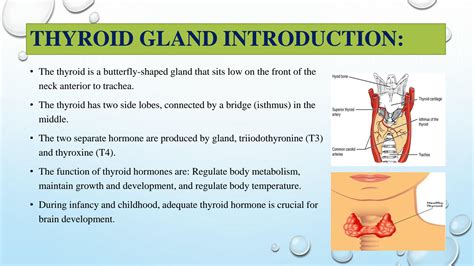 Solution Thyroid Gland Disorders Studypool