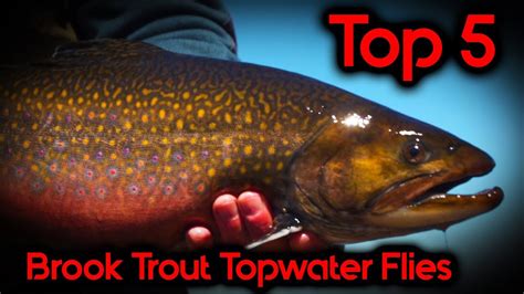 Brook Trout Top 5 Topwater Flies Youtube