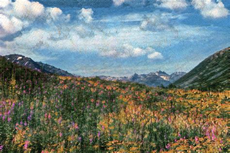 Digital Painting Of Alaska Fireweed Flowers In Meadow During Sum