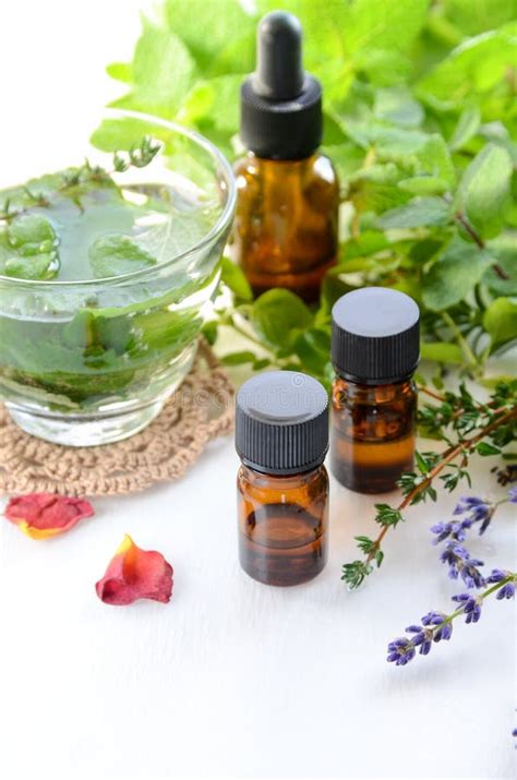 Aromatherapy Treatment With Herbs And Drink Stock Image - Image of oils ...