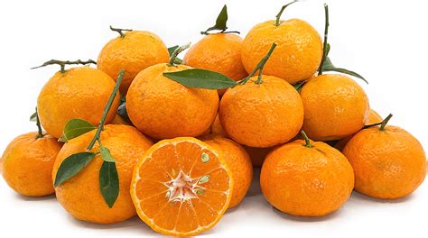 Tardivo Di Ciaculli Mandarins Information And Facts