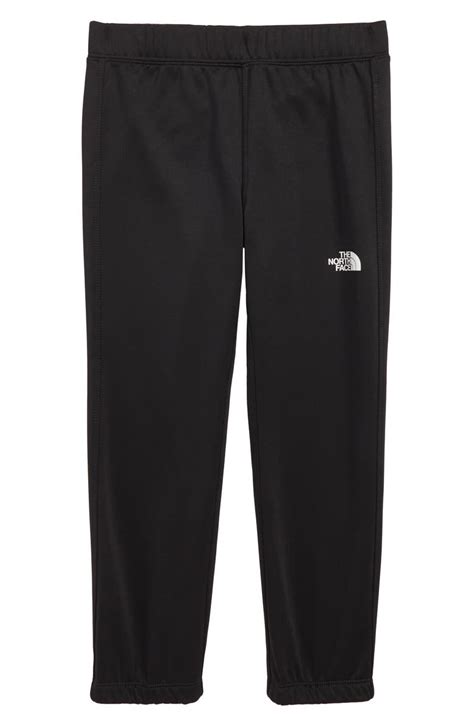 The North Face Surgent Sweatpants Toddler Boys And Little Boys Nordstrom