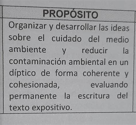 Ayuda Porfa Soy Nuevo Aqui Proposito Organizar Y Desarrollar Las