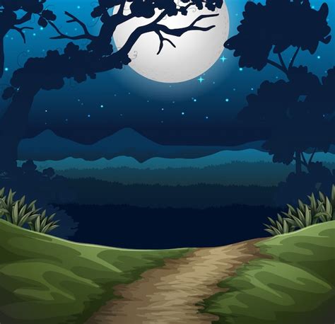 Bosque En Escena Nocturna Vector Premium