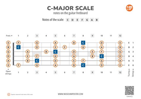 Major Scale Tones Across The Entire Guitar Fretboard