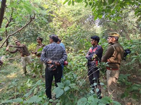 Dead Body Found Hanging From Tree In Barabanki Forest बाराबंकी के जंगल में पेड़ से लटकता मिला