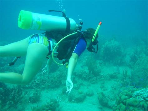 Pin by jack stanley on Guardado rápido Scuba diver girls Scuba