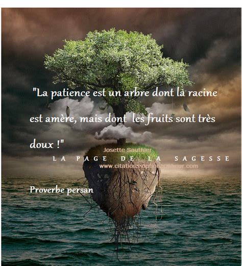 Patience Est Mère De Sagesse Citation Sur La Vie