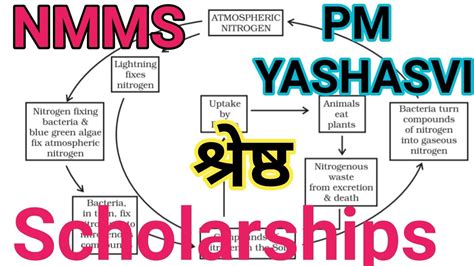 pm yashasvi scholarship shrestha nta nmms exam 2023 सकषमजव