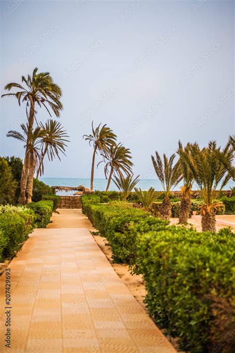 Why to the sandy beach on tropical resort Stock Photo | Adobe Stock