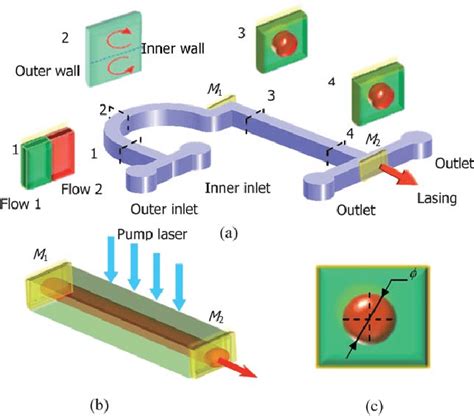 A The Schematic Illustration Of The 3d Liquid Waveguide Dye Laser