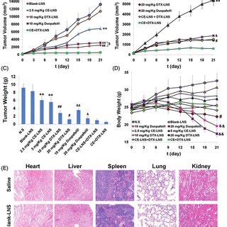 The Antitumor Effect Of Ce Dtx Lns In B Tumor Bearing Mice In Vivo