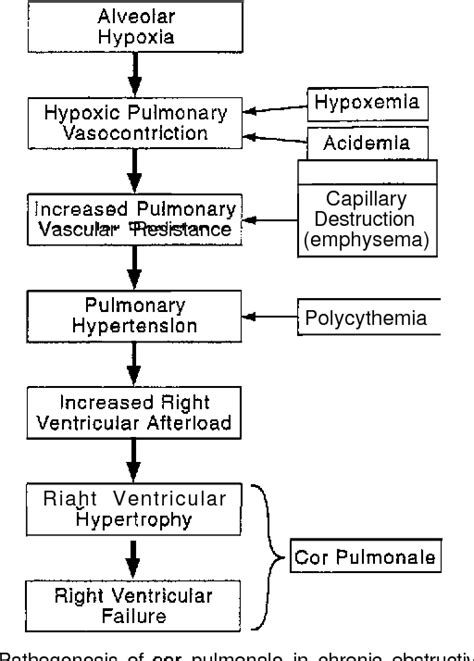 Pdf Pathophysiology And Clinical Effects Of Chronic Hypoxia