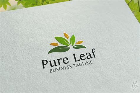 Pure Leaf Logo Template Illustrator Templates Creative Market