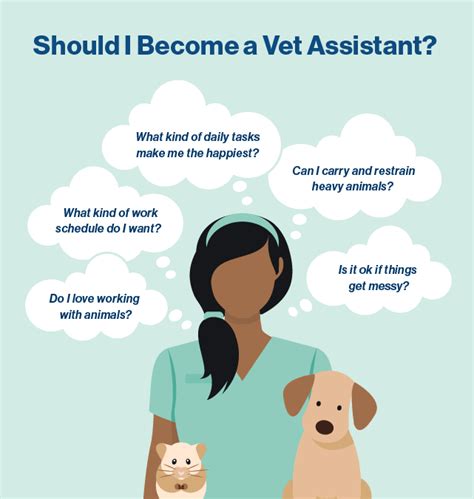 Your Veterinary Assistant Career Guide Salary Job Duties