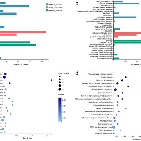 Gene Ontology Go And Kegg Pathway Enrichment Of Degs A Go Of Degs In