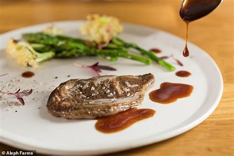 Worlds First Laboratory Grown Ribeye Steak Unveiled Daily Mail Online