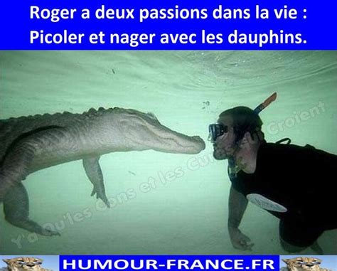 Roger A Deux Passions Dans La Vie Picoler Et Nager Avec Les Dauphins