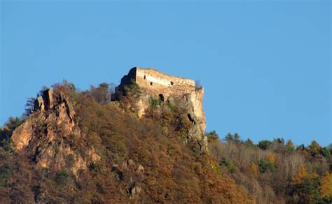 Bolzano Si Lancia Con La Tuta Alare E Precipita Nel Bosco Morto Un