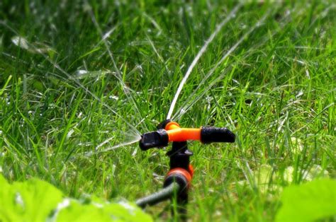 Sistemas De Riego Eficientes M S Utilizados En Jardines Florpedia