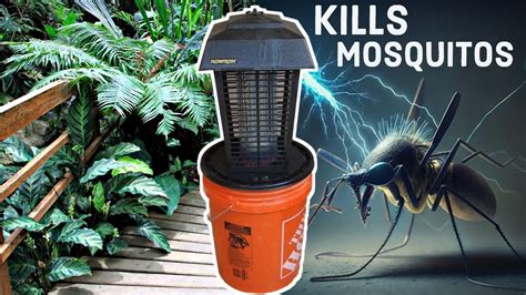 How To Make Mosquito Killer Trap Using A Bug Zapper And Bucket Diy Homemade Gravid Autocidal