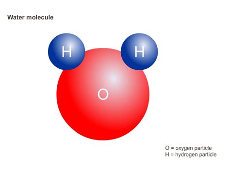 Water molecule