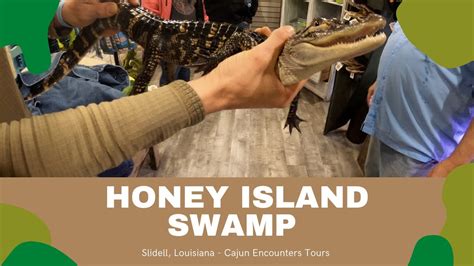 Honey Island Swamp Cajun Encounters Swamp Tour Slidell Louisiana