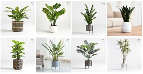 Where To Buy Artificial Plants In Lagos Eloquent Displays Decor