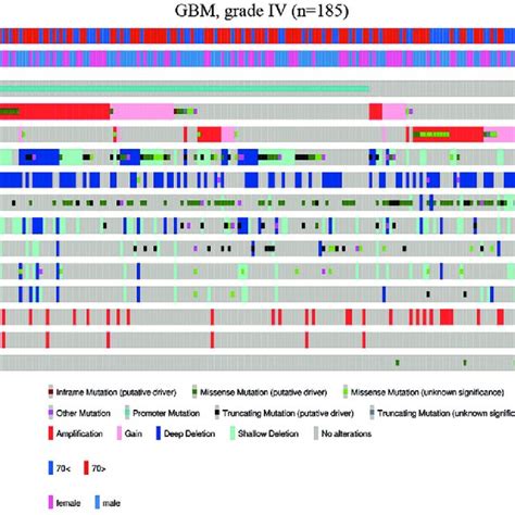 Somatic Alterations Of Driver Genes In Glioblastoma Driver Gene Download Scientific Diagram