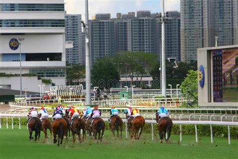 The Horse Racing At Hong Kong Jockey Club 1 July 2008 Editorial