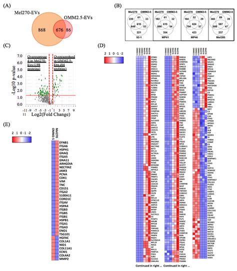 Primary Um Ev Protein Cargo Clustered Differently From That Of