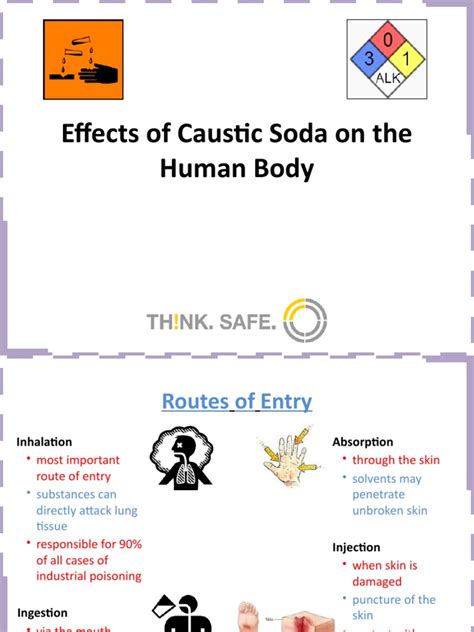 Effects Of Caustic Soda On The Human Body A Comprehensive Review Of Exposure Routes Target