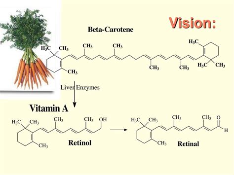 Ppt 14 Conjugated Compounds And Ultraviolet Spectroscopy Powerpoint Presentation Id 6601510