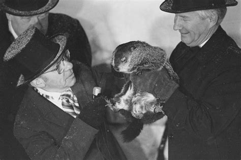 Groundhog Day Origins Facts And Punxsutawney Phil