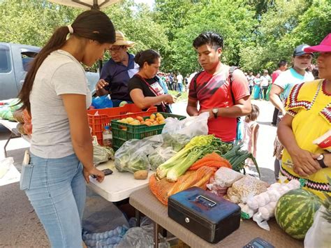 Agroferias del sábado Dónde serán y qué puedes comprar