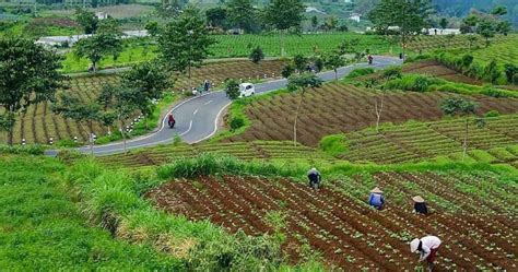 Krisis Air Lahan Pertanian Kementan Bakal Bangun Embung Di Kota Batu