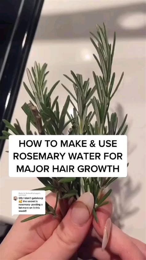 Pin By On H Rosemary For Hair Diy Hair Care Hair Growth