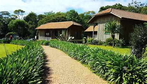 Est Saudade De Viajar Quer Conhecer Um Pedacinho Da Holanda No